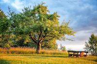 familienerlebnispfad_burg_heideck